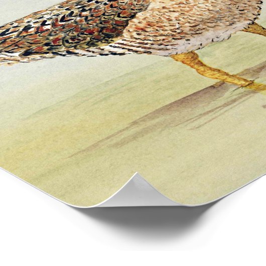 シギ ポスター (角)