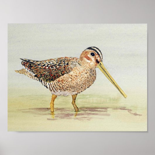 シギ ポスター (正面)