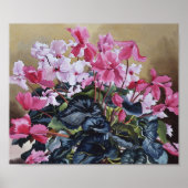 シクラメン2004 ポスター (正面)