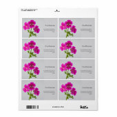 シクロメネフラワーエバダンカン ラベル (フルシート)