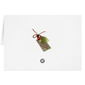 シグネットとマザースワン (裏面横)