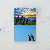 シグハウンドサンセット カード (内部)