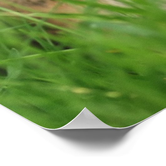 シグミ空白のク ポスター (角)