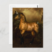 シコバ先住民アメリカンホース ポストカード (正面/裏面)