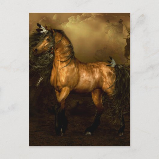 シコバ先住民アメリカンホース ポストカード (正面)