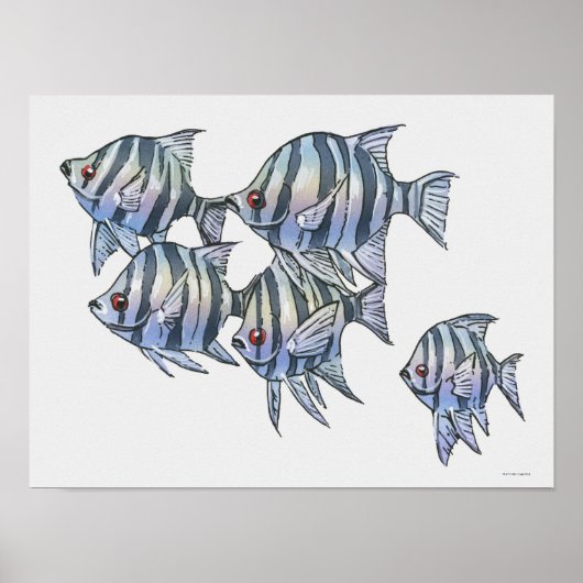 シザーステール軍曹 ポスター (正面)