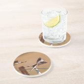 シザーステール・フライ捕手(タイラノス・フォフィカタス) コースター (側面)