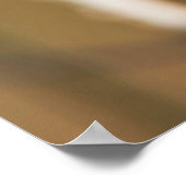 シザーステール・フライ捕手（タイラノス・フォフィカタス） ポスター (角)