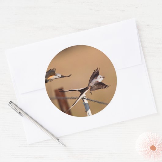 シザーステール・フライ捕手(タイラノス・フォフィカタス) ラウンドシール (封筒)