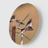 シザーステール・フライ捕手(タイラノス・フォフィカタス) ラージ壁時計 (傾斜)