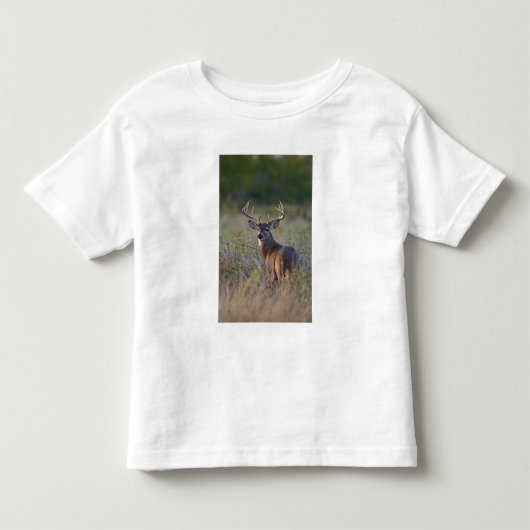 シシジカ Odocoileus virginianus トドラーTシャツ (正面)