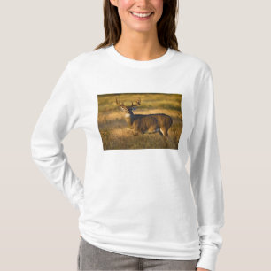 シシジカ (Odocoileus virginianus) 成獣 Tシャツ