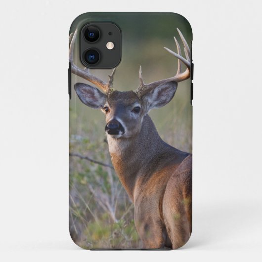 シシジカ Odocoileus virginianus Case-Mate iPhoneケース (裏面)