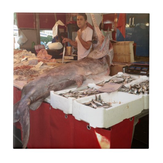 シシリアの剣士 タイル (正面)