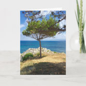 シシリアの木 シーズンカード (正面)