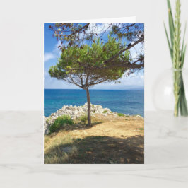 シシリアの木 シーズンカード