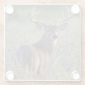 シジみ尾オジロシカ Odocoileus virginianus ガラスコースター (裏面)