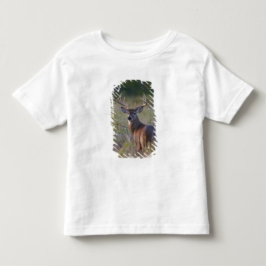 シジみ尾オジロシカ Odocoileus virginianus トドラーTシャツ (正面)