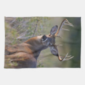 シジみ尾シカ Odocoileus virginianus キッチンタオル (横)