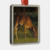 シジみ尾シジカ, Odocoileus virginianus メタルオーナメント (右)