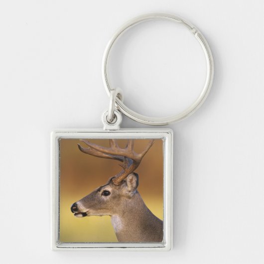 シジみ尾ジカ Odocoileus virginianus キーホルダー (正面)