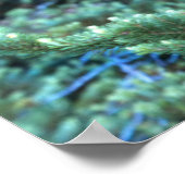 シジカ |オリンピック国立公園 ポスター (角)