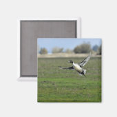 シジガモ マグネット (正面/裏面)