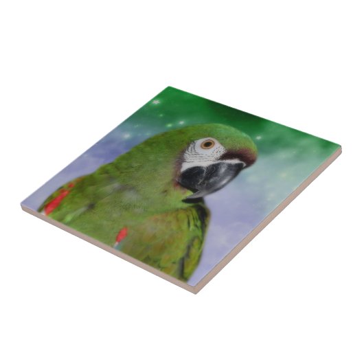 シジミのオウム タイル (側面)