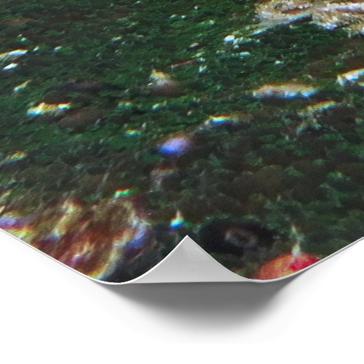 シジミ類 ポスター (角)