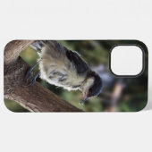 シジュウカラのTidiちゃん iPhoneケース (裏面横)