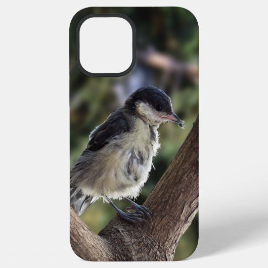 シジュウカラのTidiちゃん iPhoneケース (裏面)