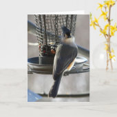 シジュウカラ科 カード (黄色い花)