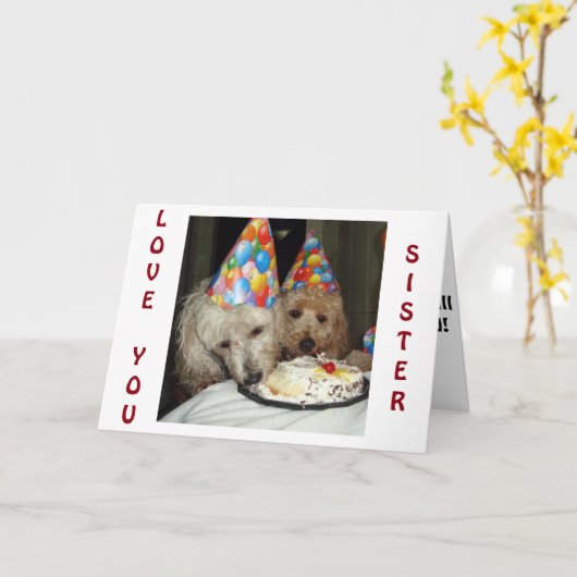 シスターの誕生日 – 我々が共有している全てを覚えなさい！ カード (黄色い花)