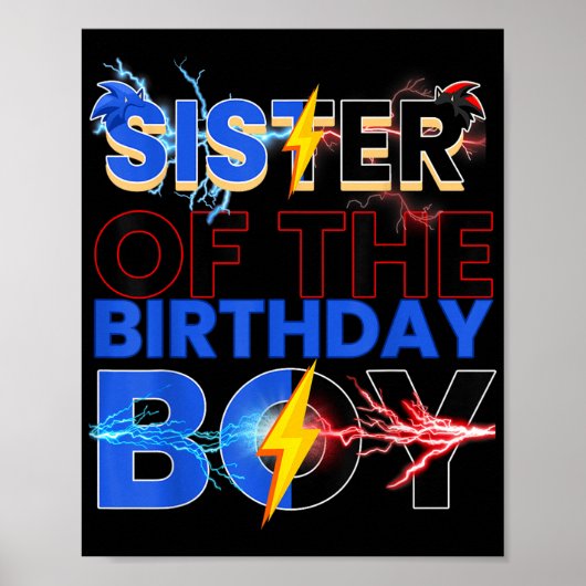 シスタースオブザ誕生日ボーイヘッジホッグファミリーパーティーD ポスター (正面)