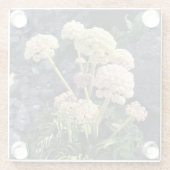 シスターズロック州パーク，オレゴン州コースト ガラスコースター (裏面)