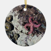 シスターズロック州パーク,オレゴン州コースト セラミックオーナメント (正面)