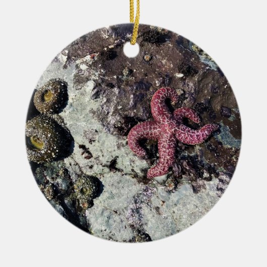 シスターズロック州パーク,オレゴン州コースト セラミックオーナメント (正面)