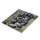 シスターズロック州パーク，オレゴン州コースト タイル (側面)