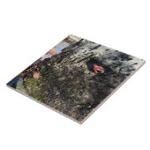 シスターズロック州パーク，オレゴン州コースト タイル (側面)