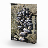 シスターズロック州パーク,オレゴン州コースト フォトブロック (右)