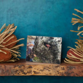 シスターズロック州パーク，オレゴン州コースト フォトプラーク (側面)