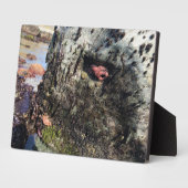 シスターズロック州パーク，オレゴン州コースト フォトプラーク (側面)