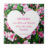 シスター！ タイル (正面)