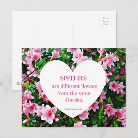 シスター！ ポストカード (正面/裏面)