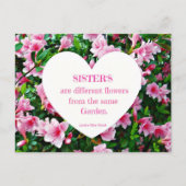 シスター！ ポストカード (正面)