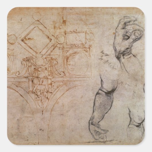システィーナ礼拝堂の天井、c.1508のために計画して下さい スクエアシール (正面)