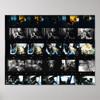 システマティックカオス11インチx 8.5インチ、バリューポスター紙 ポスター