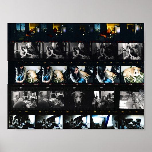 システマティックカオス11インチx 8.5インチ、バリューポスター紙 ポスター (正面)