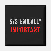 システム上重要な マグネット (正面)