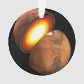 システム内のロッキー体の太陽の形成。 オーナメント (正面)